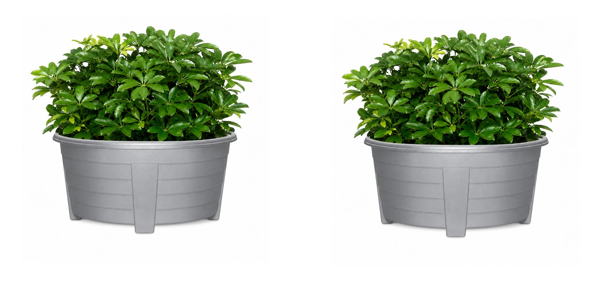 ORYNTO 55CM Large Oval Plant Pots Plant Pots Outdoor Planters Plastic Garden Flower Pot Indoor & Outdoor Raised Trough Planter Window Herb Box with DIY Drainage Holes for Flowers Plants (2, Grey)