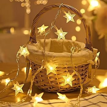 Amazon.co.jp: GOODCHI フェアリーライト電飾led イルミネーション