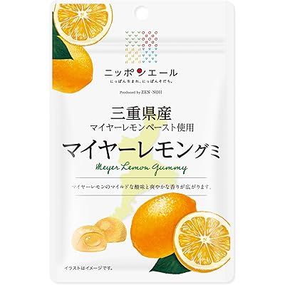全国農協食品 三重県産マイヤーレモングミ 40g×10袋