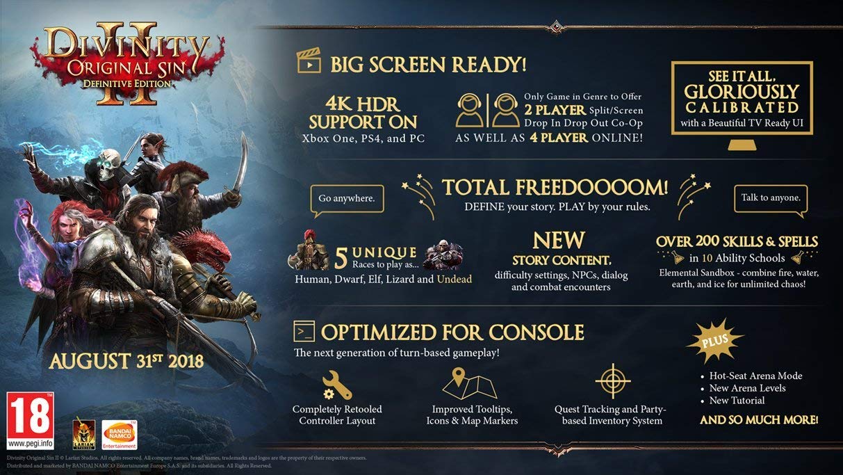 Divinity: Original Sin II - Definitive Edition PS4 [