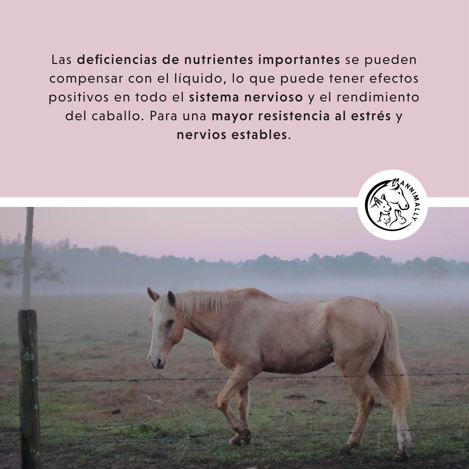 Annimally Relax Liquid para Caballos 1000ml, Jarabe calmante para Caballos con valeriana, lúpulo, triptófano, B12, magnesio y Calcio líquido - contra la ansiedad, el estrés y para el Transporte