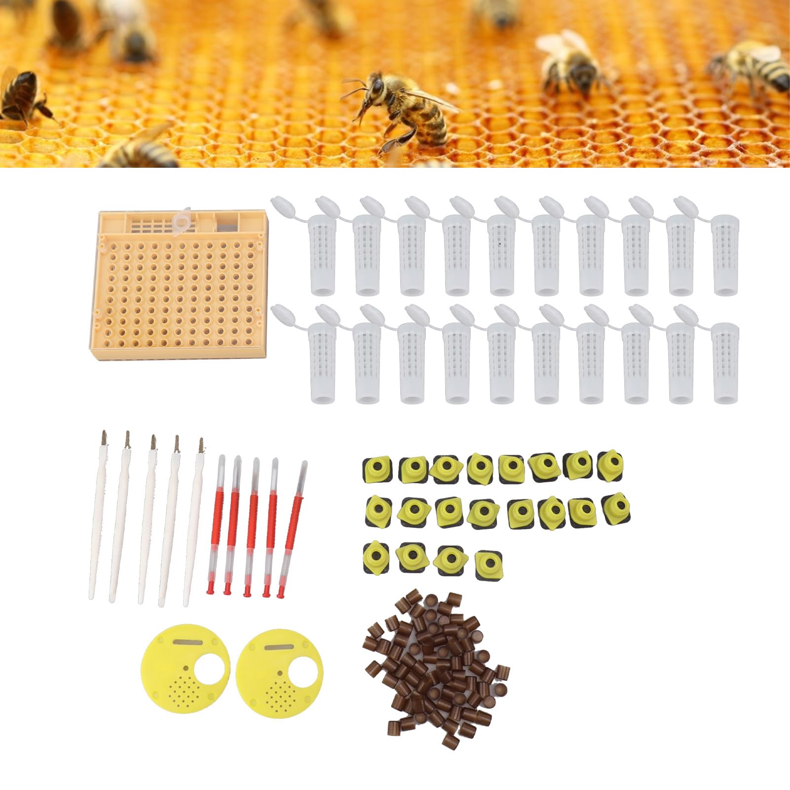Tissting Kit d'élevage de Reines Abeilles, système de Reproduction avec 110 cellules en Plastique, Outils de greffage, Cadre de Ruche, pour apiculteurs