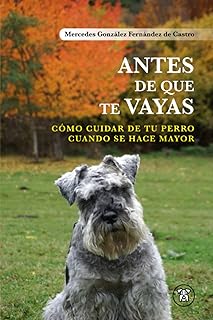 Antes de que te vayas: Cómo cuidar de tu perro cuando se hace mayor