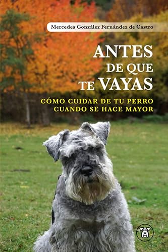 Antes de que te vayas: Cómo cuidar de tu perro cuando se hace mayor