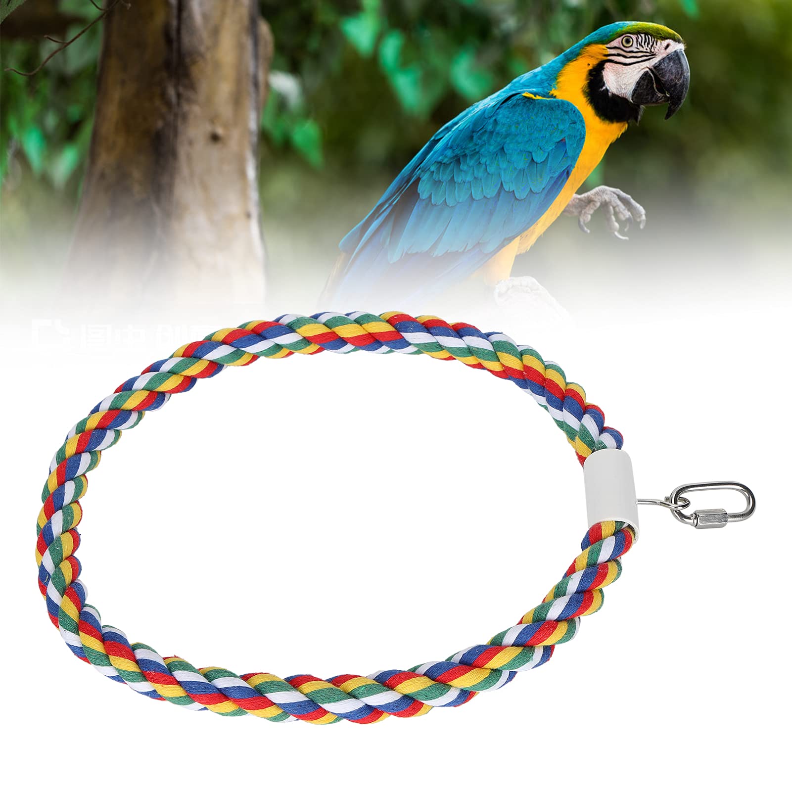 Perche D'oiseau, Anneau de Balançoire de Corde de Coton pour Animaux de Compagnie Perroquet Jouet Perroquet Jouet Corde de Coton Balançoire Anneau Debout pour Petit et Moyen Perroquet