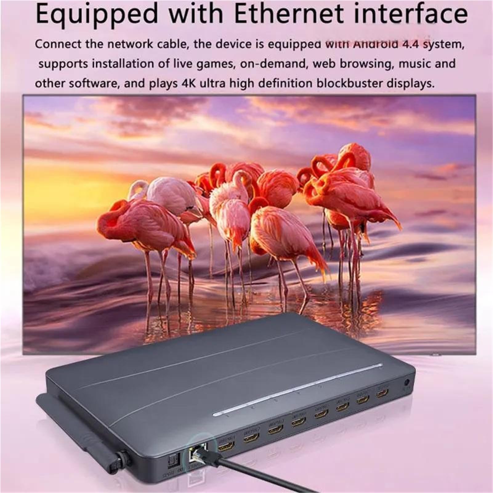 Reproductor de Video Multimedia HD 4K 8 vías, Compatible con HDMI, Reproductor Disco Duro for TV 4, Pulgadas, Caja fácil de operar