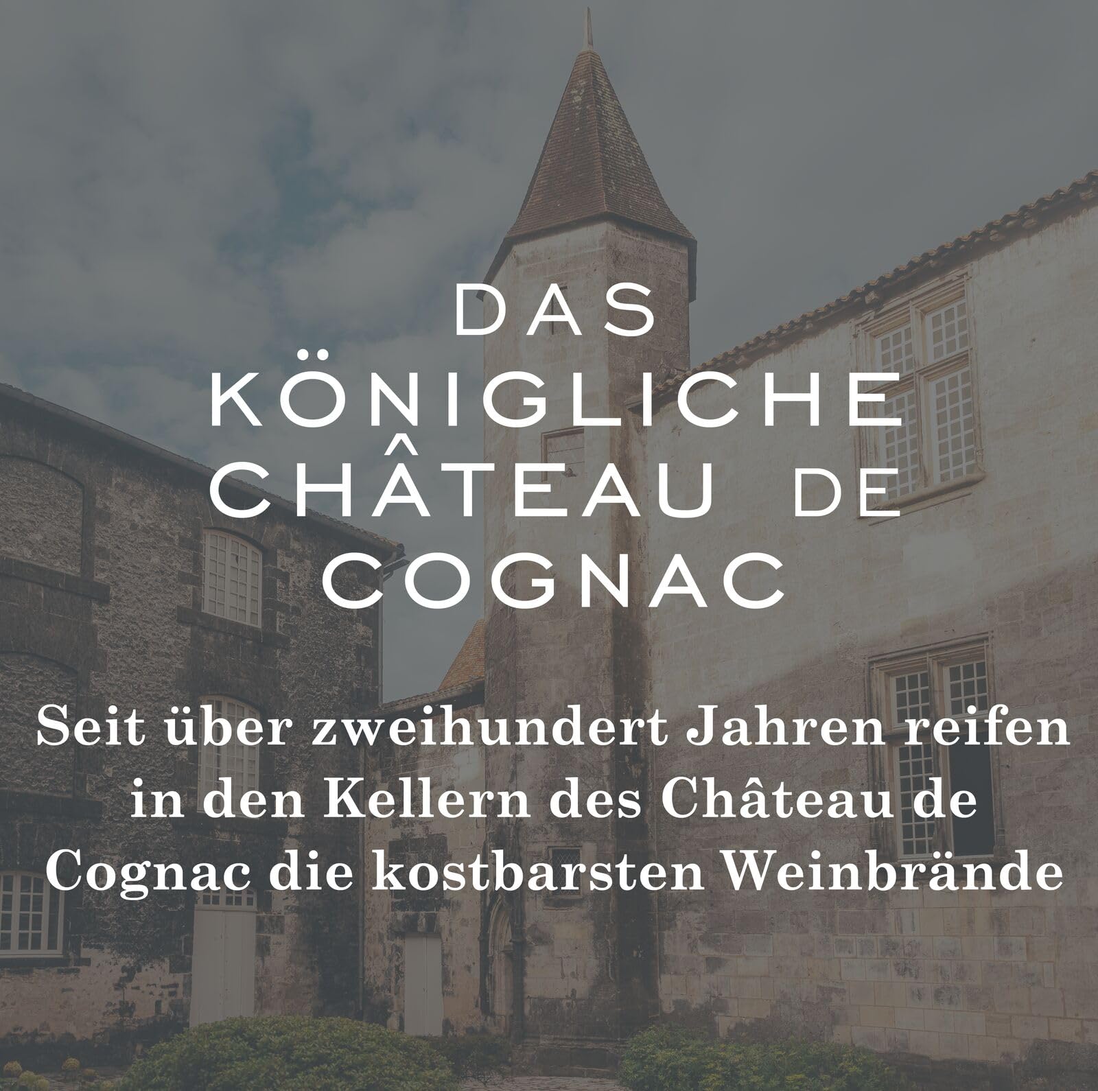 Baron Otard XO Gold Cognac, 40 Vol.-%, 70 cl / 700 ml, doppelt destillierter Premium-Cognac, gereift in Eichenfässern, mit Aromen von schwarzem Trüffel, Sandelholz und Pflaume