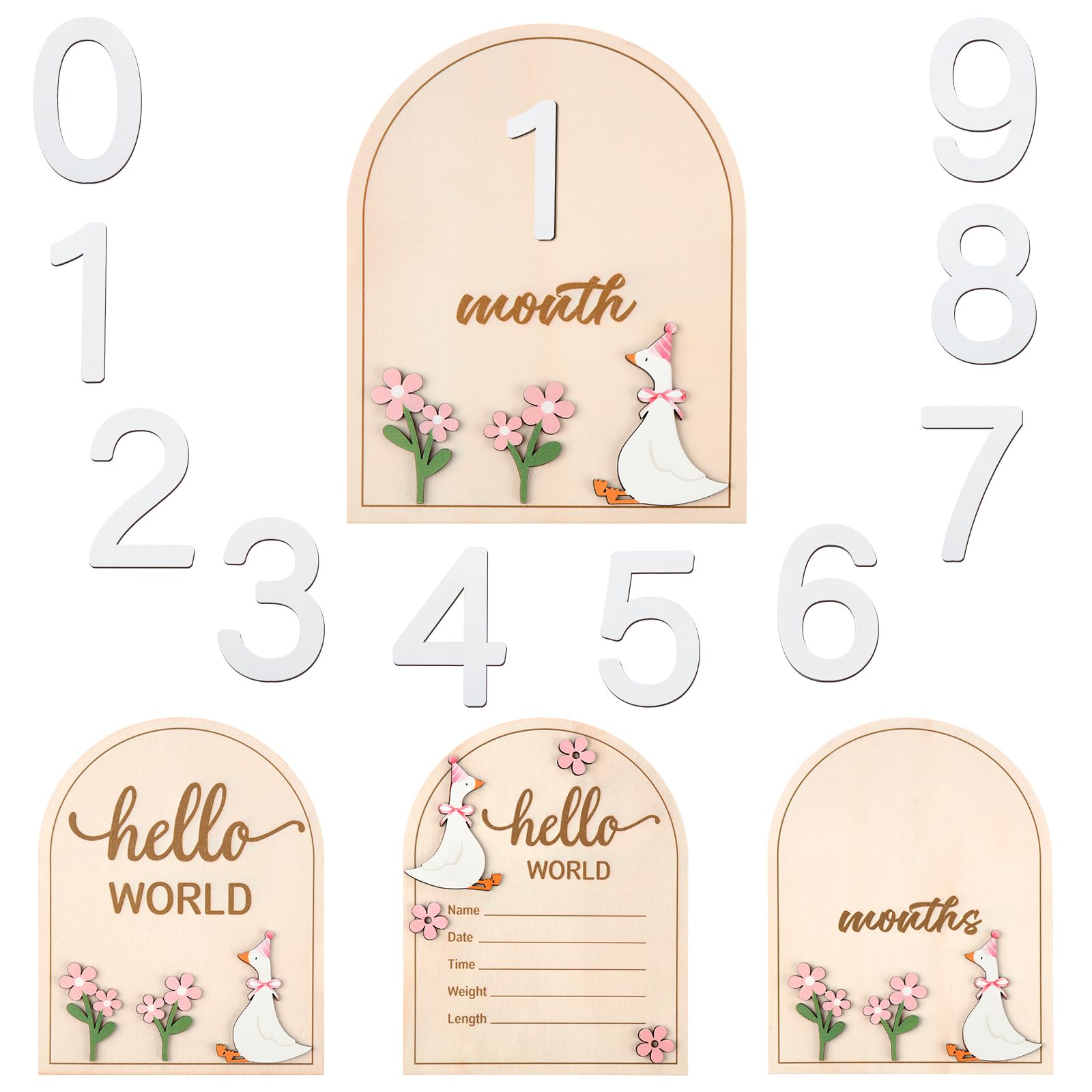 Colingmill 2 Pcs Monthly Baby Milestone Signs Cards with Pink Bow Wooden Coquette Discs Newborn Photography Props to Document Your Baby's Growth 1-12