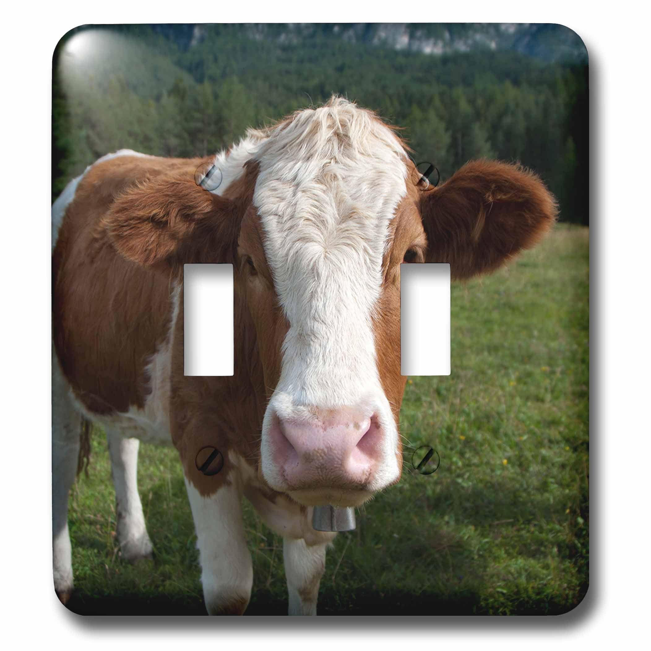 Double interrupteur à bascule Simmental Vache 3dRose lsp_165721_2 de finition multicolore