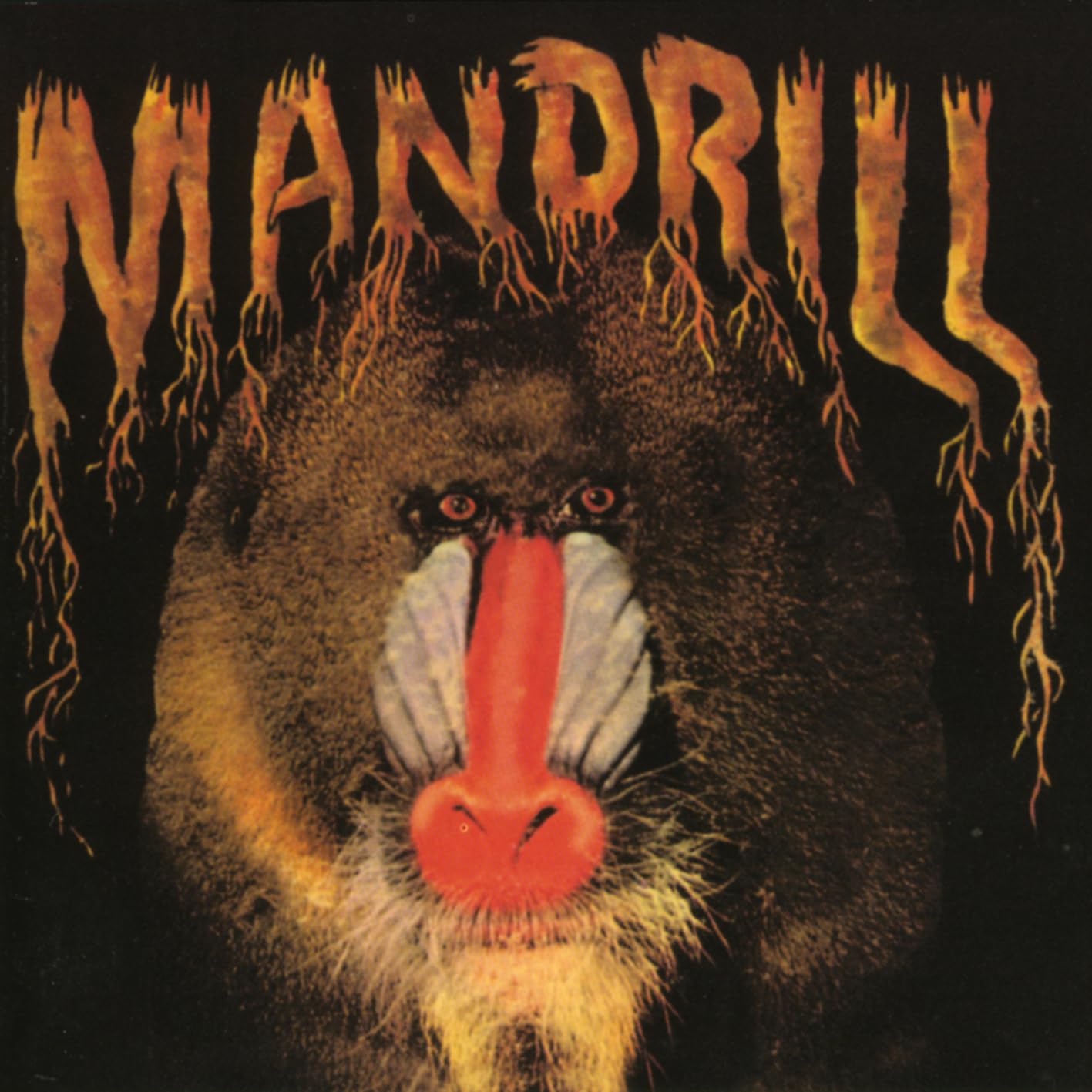 Amazon.com: Mandrill