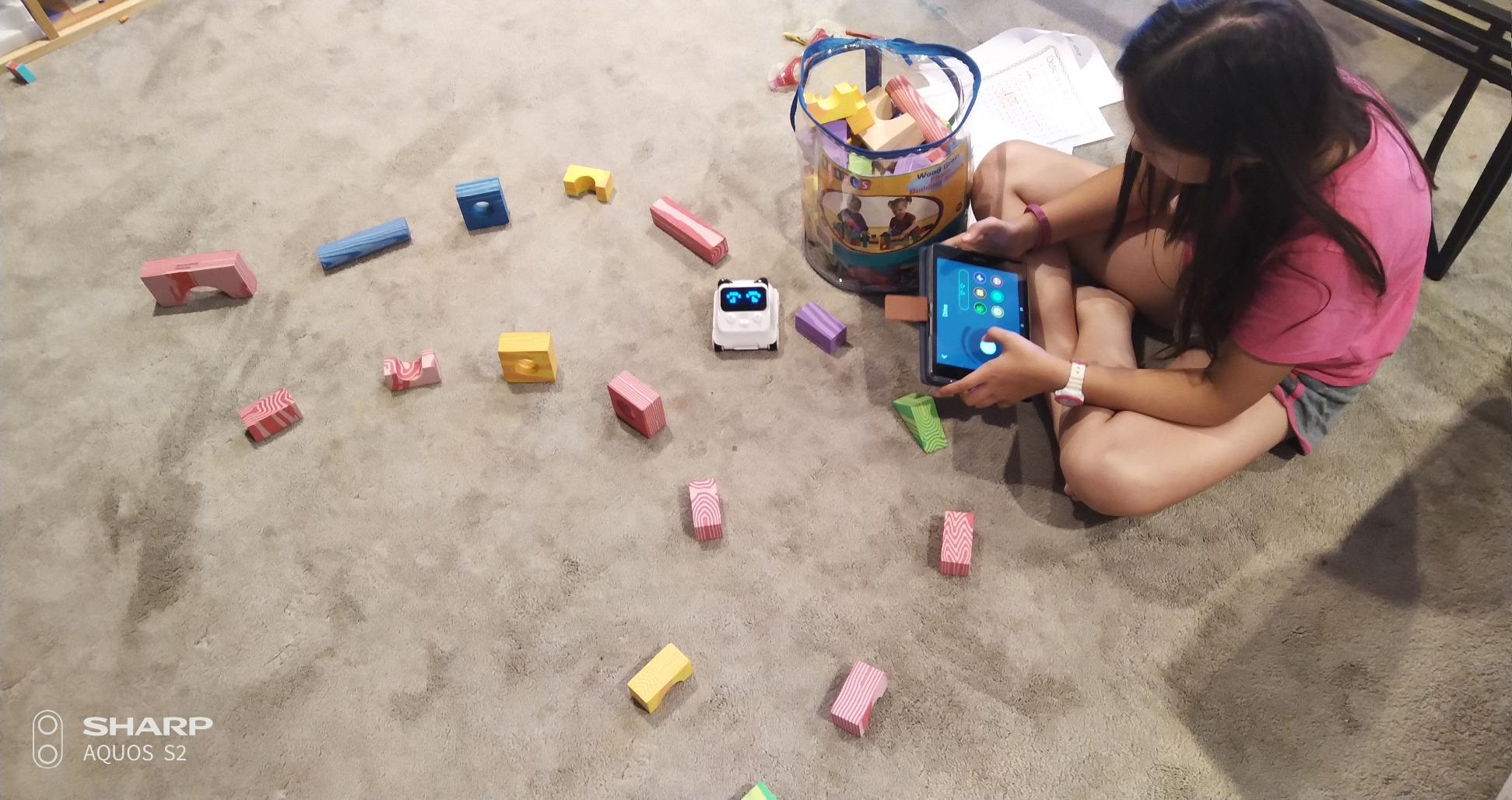 Codey Rocky programming interface