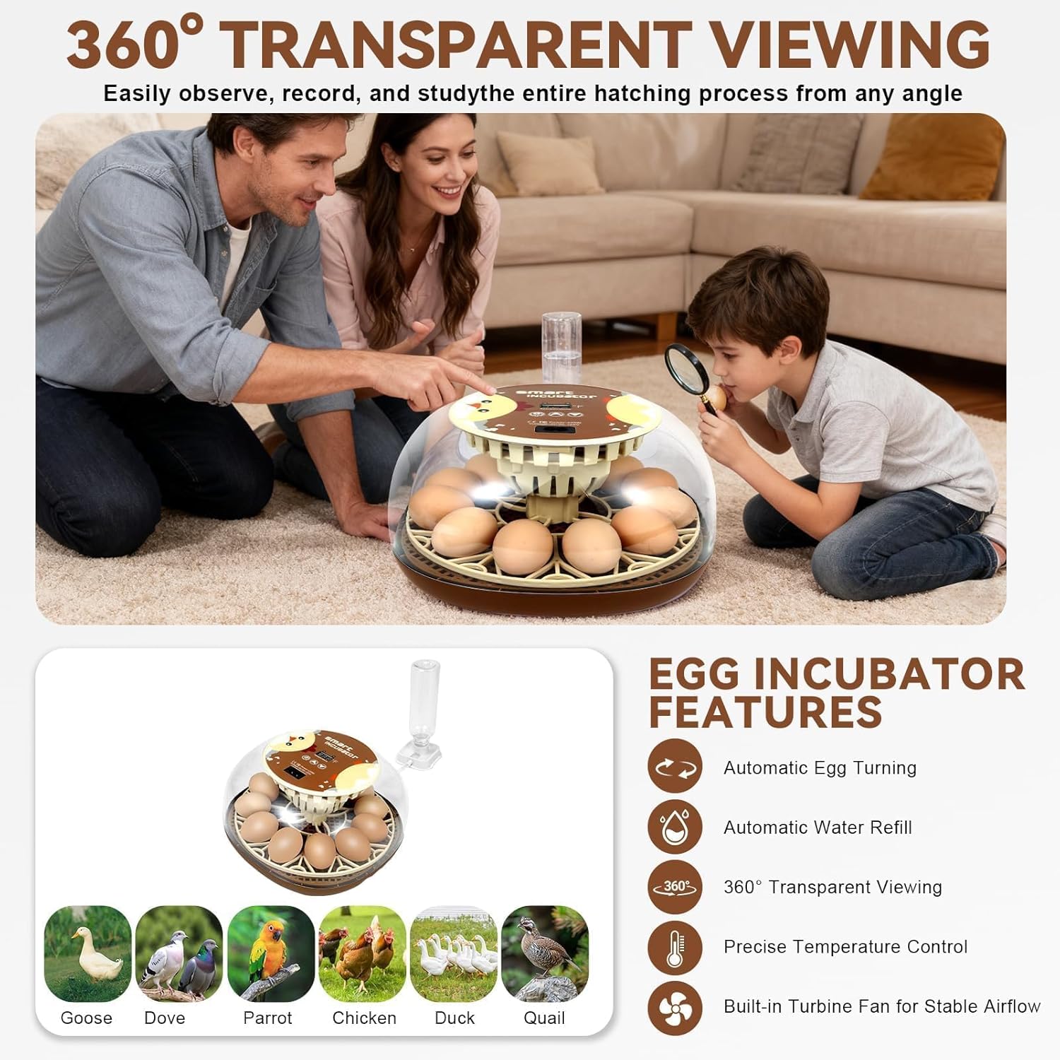Series I-Automatic 12-Egg Incubator for Beginners, Auto Egg Turn, Steady Self-Regulating Humidity & Consistent Temperature Control for Hatching Chicken, Goose, Duck, Quail, Pigeon(12-Egg-Brown)