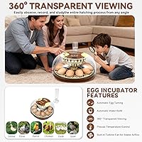 Vista 5 de Nest I - Incubadora de 12 huevos para principiantes, giro automático de huevos, humedad constante con botella de agua de recarga automática