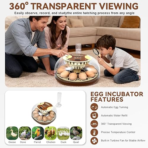 Miniatura 5 de Nest I - Incubadora de 12 huevos para principiantes, giro automático de huevos, humedad constante con botella de agua de recarga automática