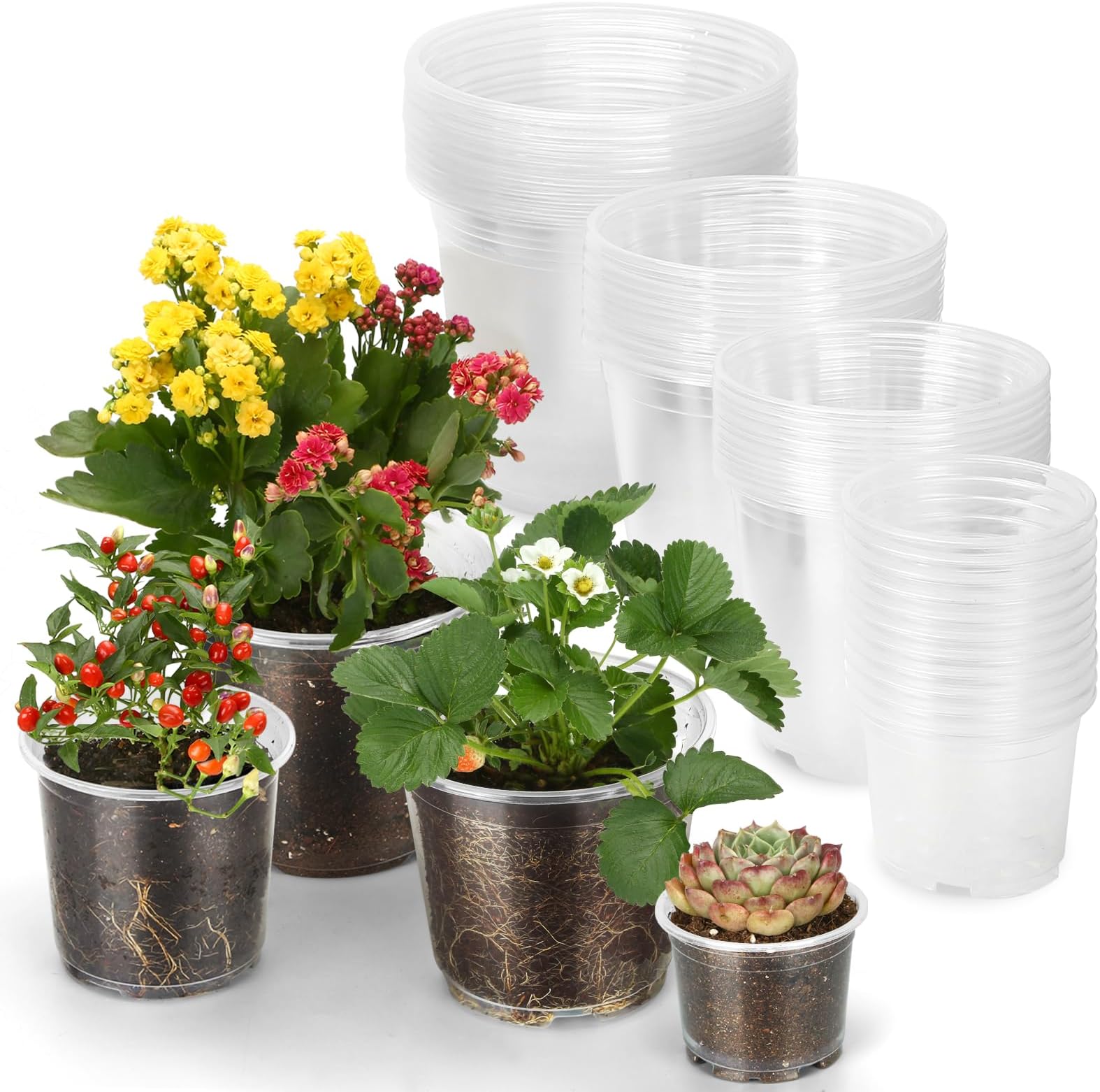 TAQIXI 48 Pack 7/6/5/3.5 Inch Clear Plastic Pots for Plants, Clear Nursery Pots with Drainage Holes, Reinforced Plastic Nursery Pots Variety Pack