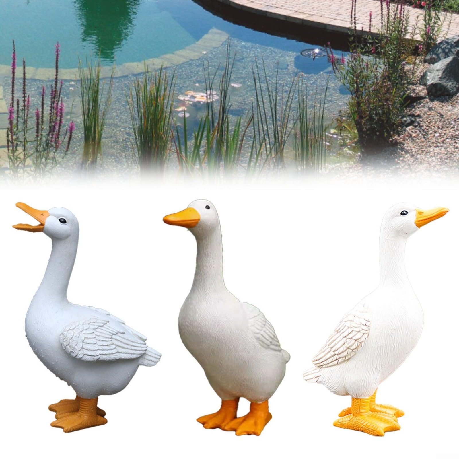View 4