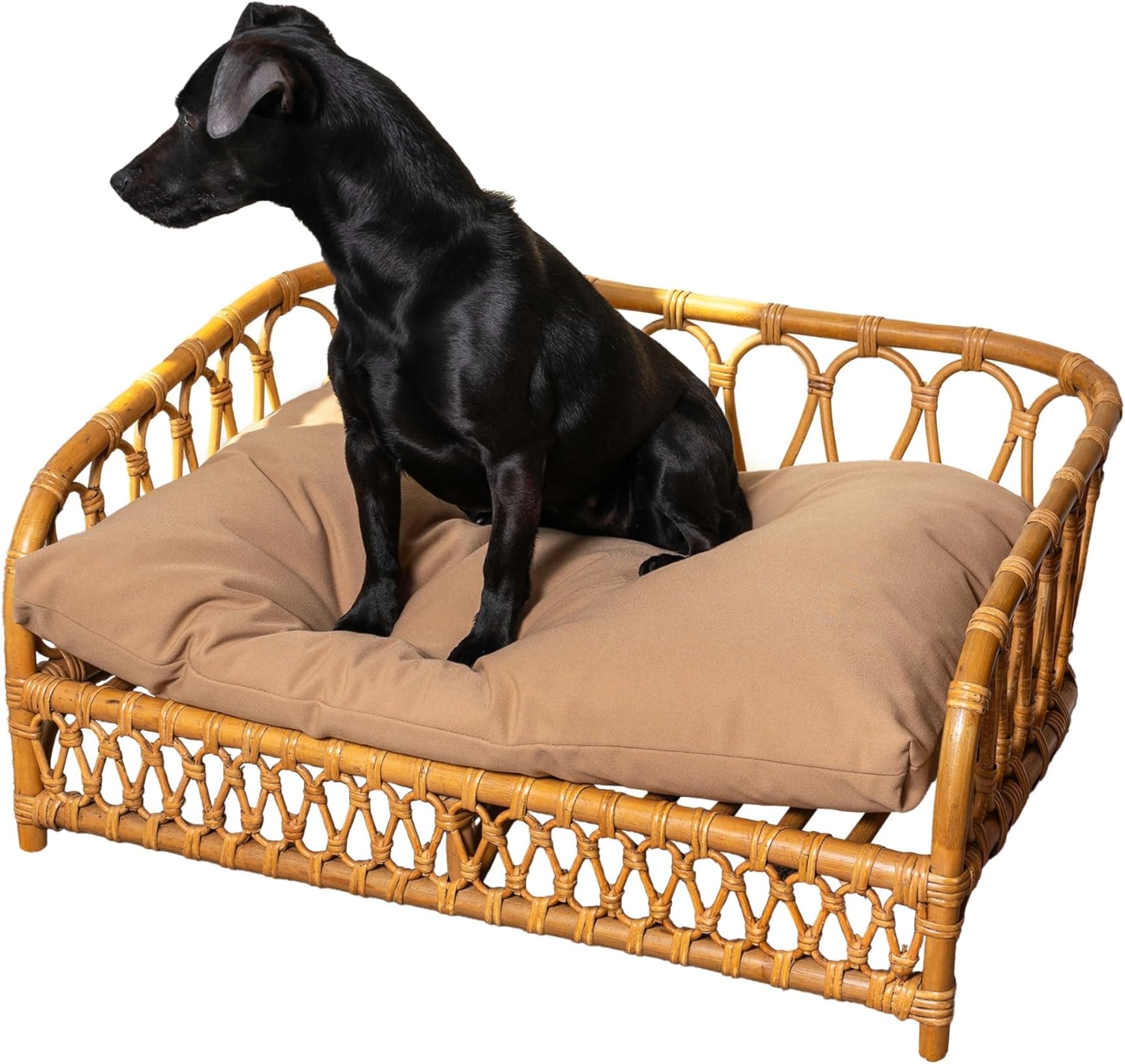 Image showcasing Amazon.com: Baxton Studio Pieta Modern Bohemian Natural Brown Rattan ...
