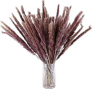 75PCS Natural Dried Pampas Grass for Boho Home Decor Dried Flowers Bouquet for Wedding Party Decor Pompas Floral Arrangeme...