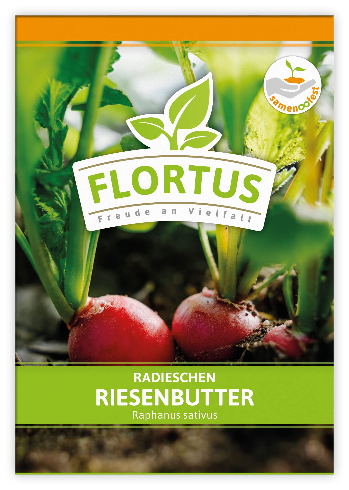 FLORTUS 2000-0493-100x Radieschen Riesenbutter (100 Stück) (Radieschensamen)