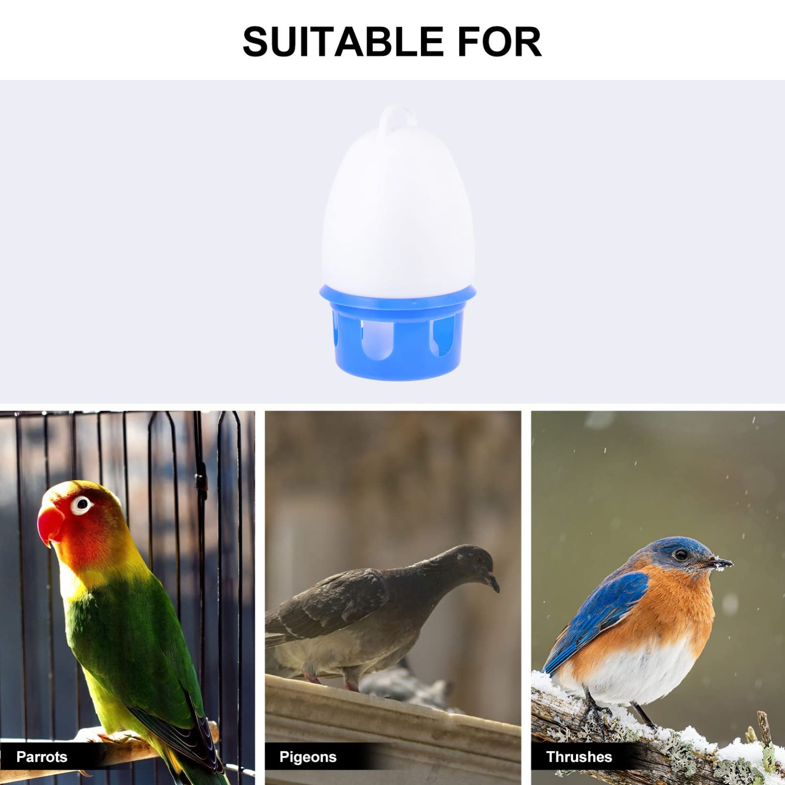 Alipis Abbeveratoio per Uccelli Alimentatore Automatico per Piccioni da 12 Litri Distributore di Acqua per Animali Domestici Sospeso in Plastica Accessori per Gabbie per Uccelli
