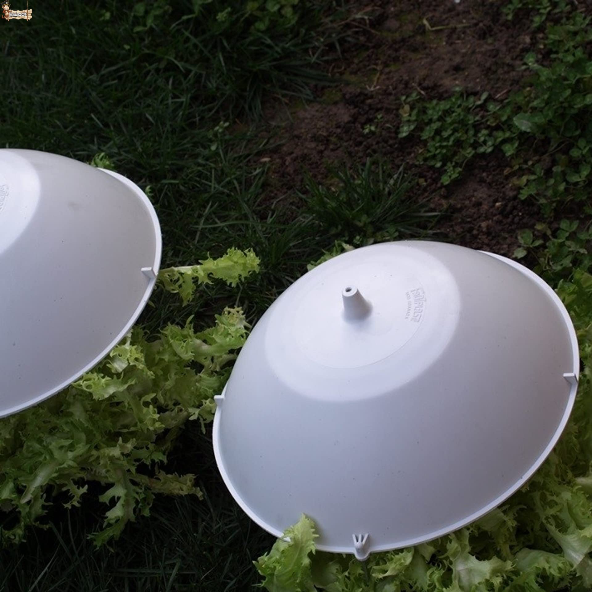 BricoLoco.com Czapka z kapeluszem obejmuje szkarolę, sałatę, ogród warzywny. Wielokrotnego użytku !!! 29,5 cms. pąki kapusty, warzywa i rośliny. Wybielacz szkarola. (5)