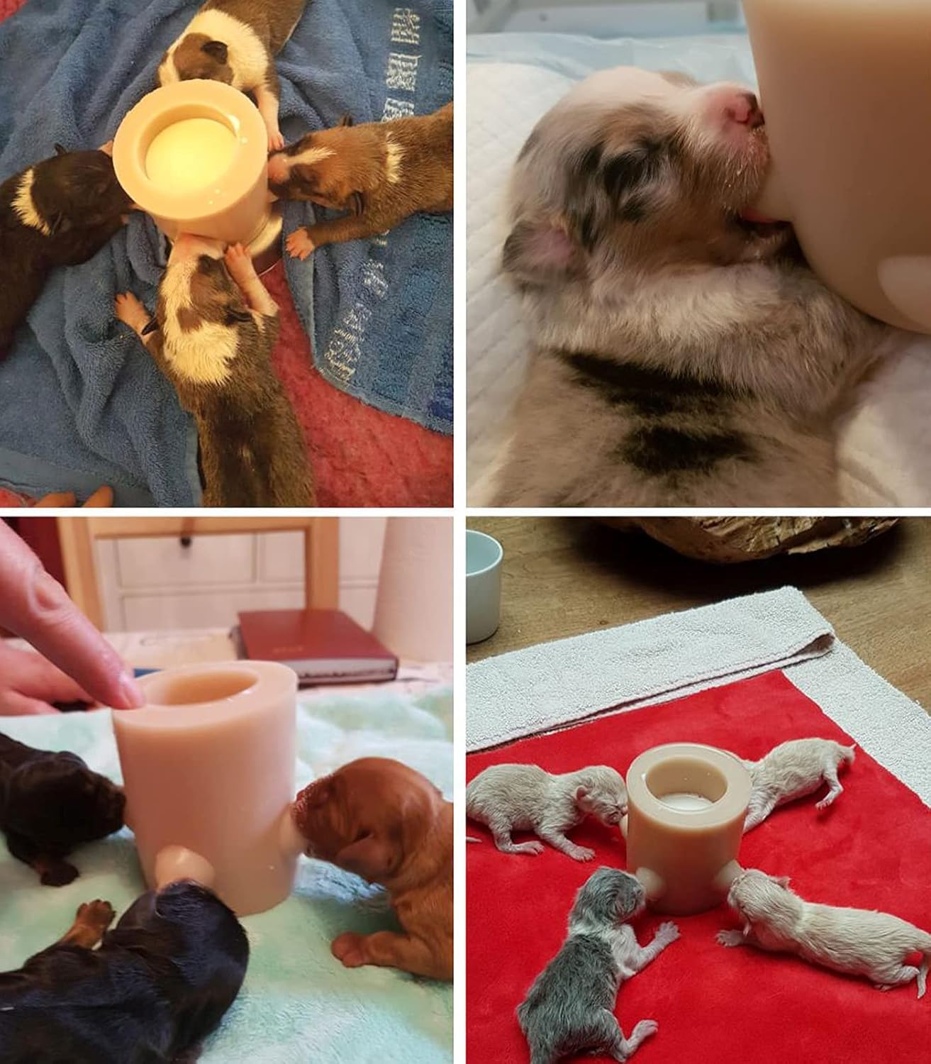 Stacja Karmienia Szczeniąt, Silikonowy Karmnik Dla Szczeniąt Kotów Butelki Do Karmienia Artykuły Do Karmienia I Pojenia Dla Psów