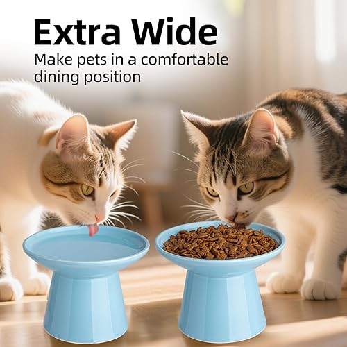 Vista 14 de Cuenco elevado extra ancho para comida para gatos, cuencos de cerámica para alimentos y agua, plato ancho y poco profundo para gatos, fatiga