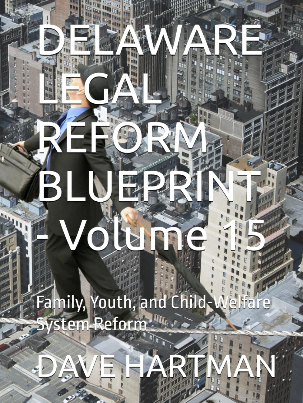 DELAWARE LEGAL REFORM BLUEPRINT - Volume 15: Family, Youth, and Child-Welfare System Reform (Delaware Legal Reform Series)