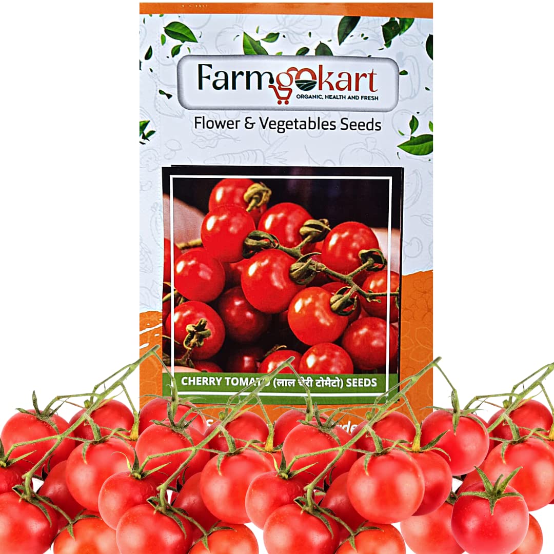 Farmgokart |Pack of 40 Nos | RED CHERRY TOMATO SEED| Best Suitable For Terrace And Home Gardening |Quality Exotic vegetable Seeds| (B09MZYJ8MS) Amazon Price History, Amazon Price Tracker