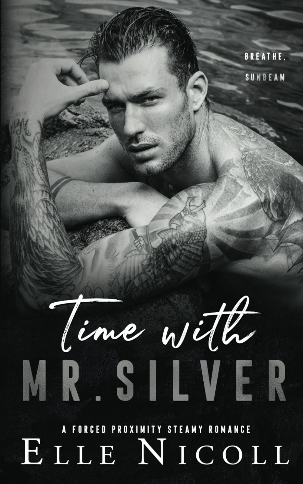 Time with Mr. Silver: A forced proximity steamy romance: 7 (The Men Series - Interconnected Standalone Romances)