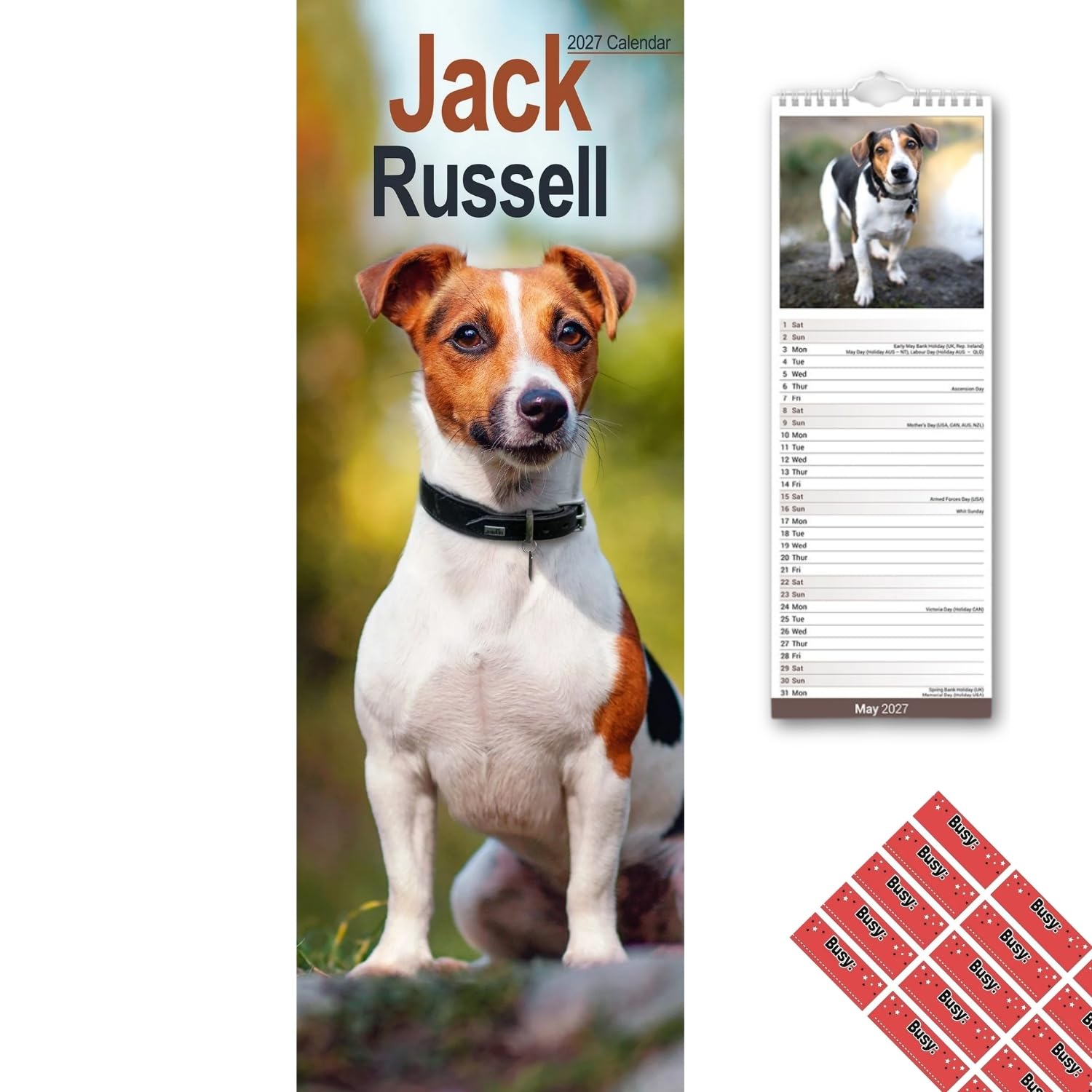 Avonside Jack Russell 2027 Slimline Calendar with Organisational Stickers
