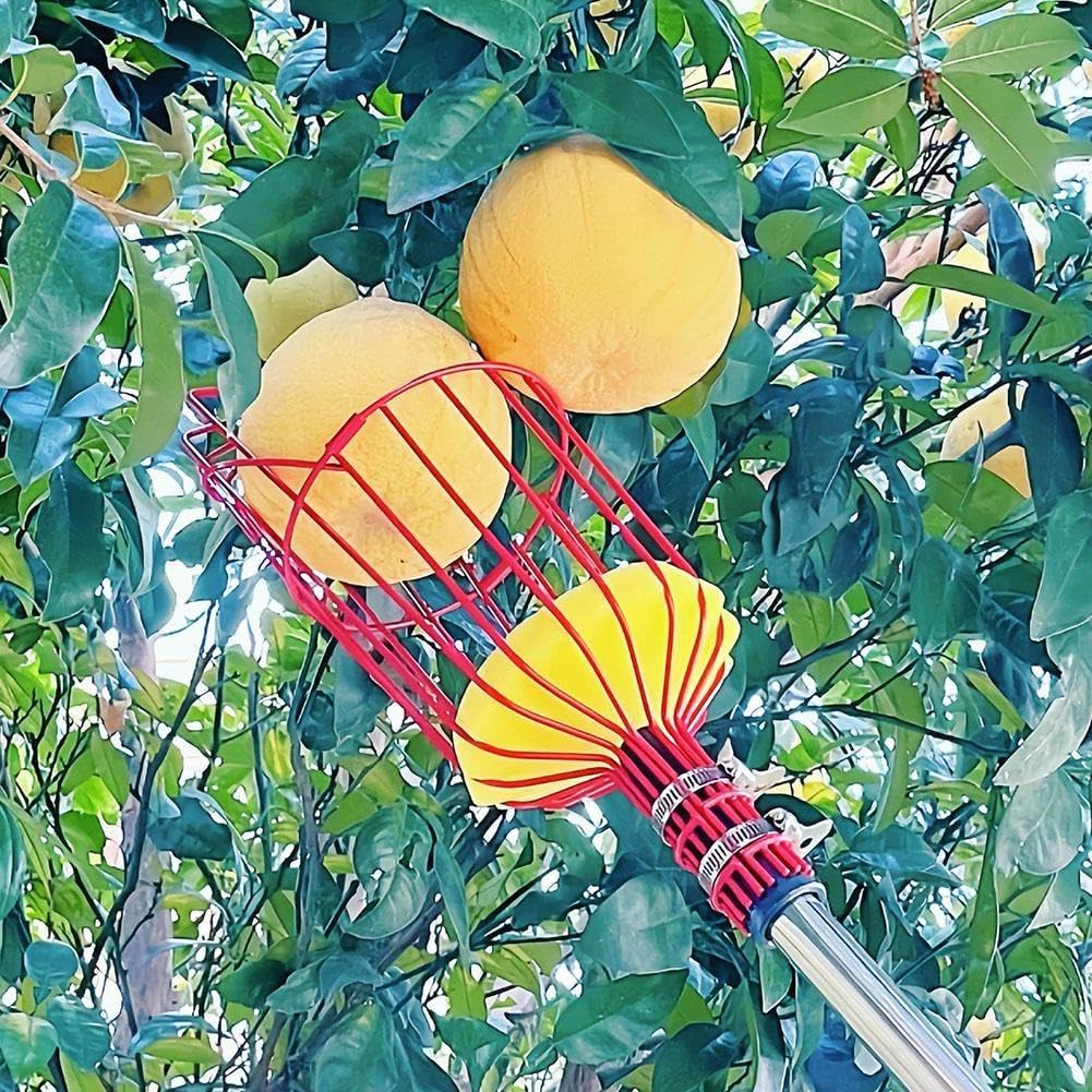 Cueille-fruits à Manche Télescopique Avec 3 Griffes En Caoutchouc - Pour Poires, Pommes, Oranges, Kakis, Jusqu'à 1m De Long - 4