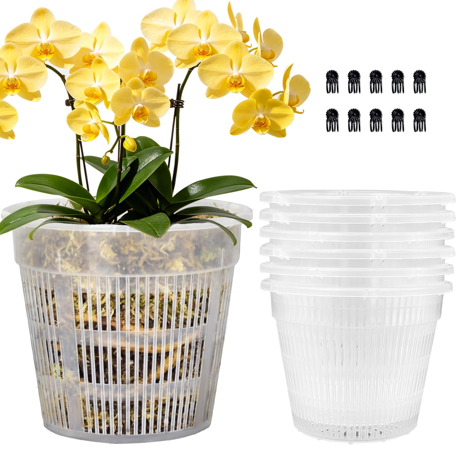 Pots à orchidées en plastique transparent 16 cm pour sublimer votre décoration végétale d'intérieur