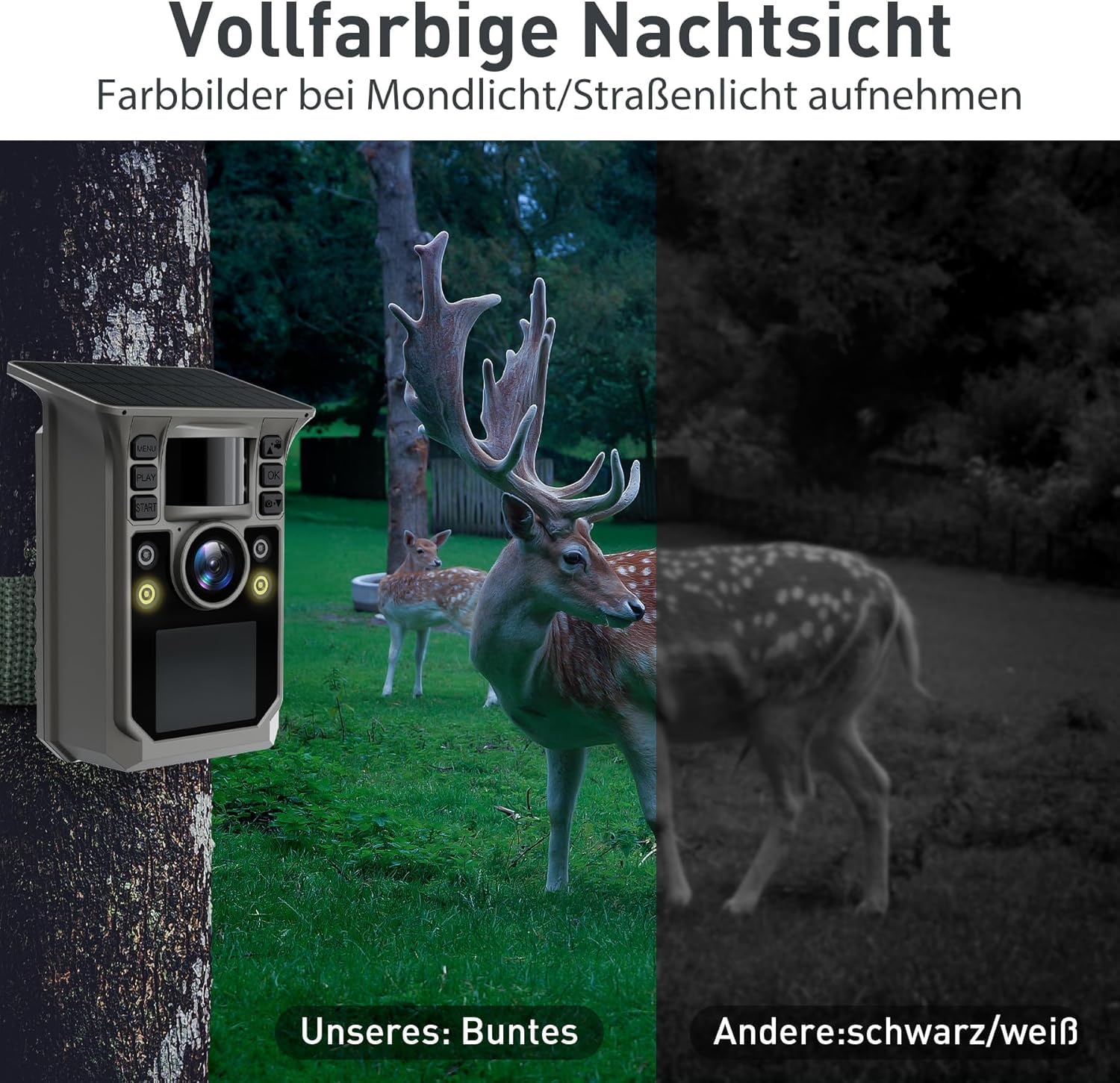 Wildkamera mit Handyübertragung APP, Solar WLAN 4K HD Video 64MP Eingebaute 7500mAh Wiederaufladbare Batterie, Vollfarbige Nachtsicht, 32GB Speicherkarte, IP67 Wasserdicht, 130° Weitwinkel