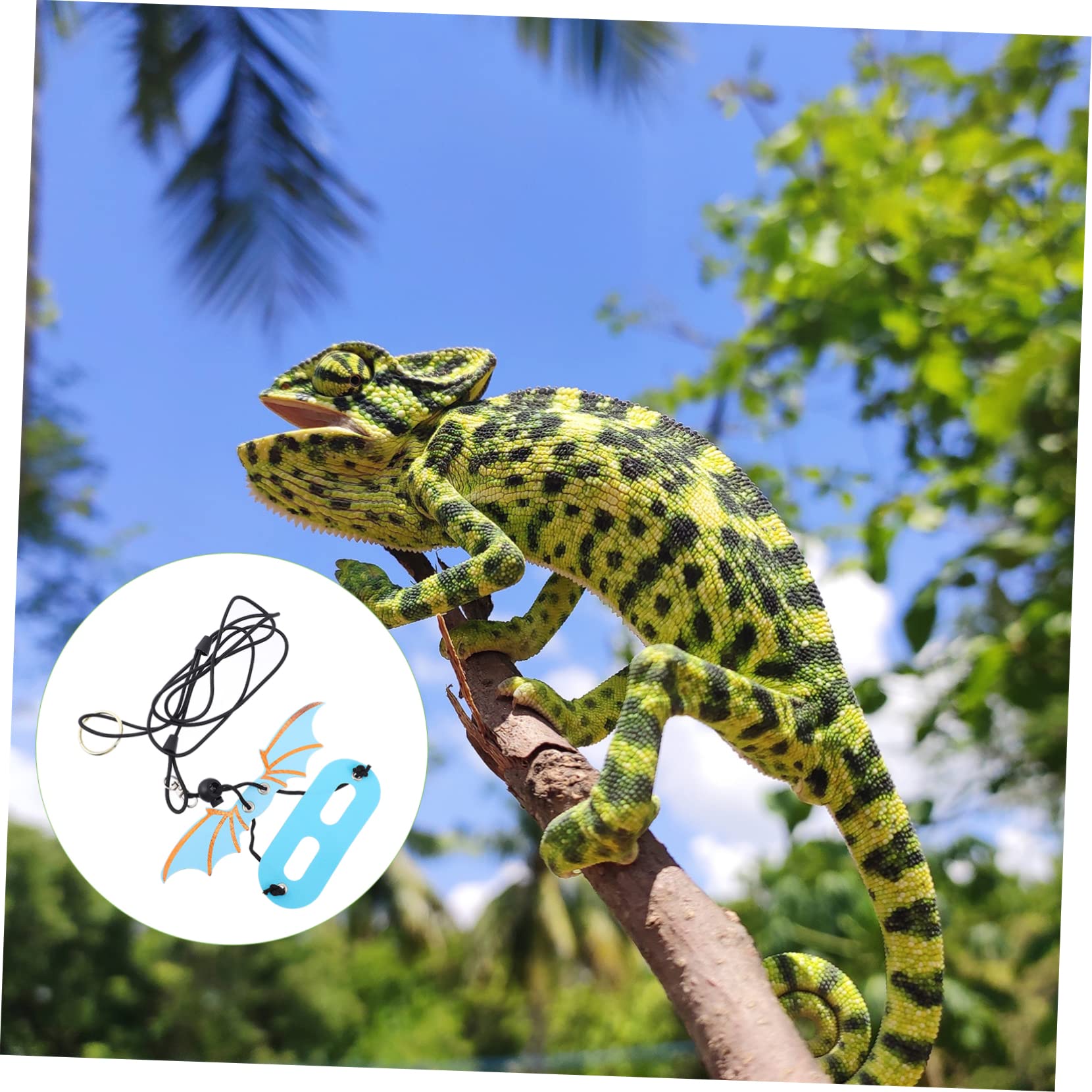 Abaodam 5Pcs Adjustable Lizard Harness Leash with Wings for Reptiles for Outdoor Walking and Travel Comfortable for Geckos and Lizards