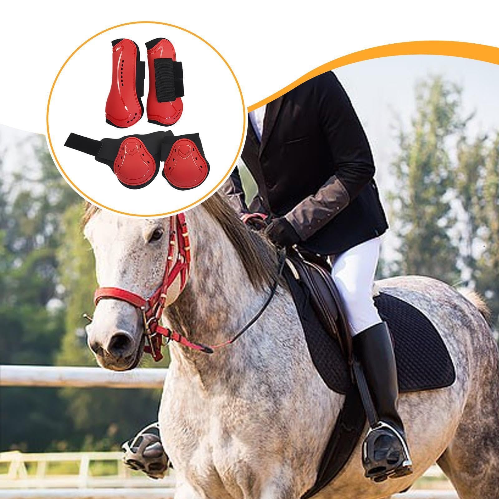 Gralara 4 Protectores de tendón para Caballos, Equipamiento Ecuestre, para Patas Delanteras y traseras.