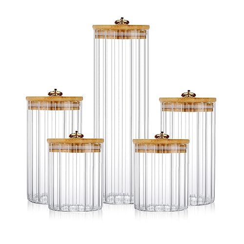 FANTESTICRYAN Glass Storage Jars Set of 5 with Bamboo Lid