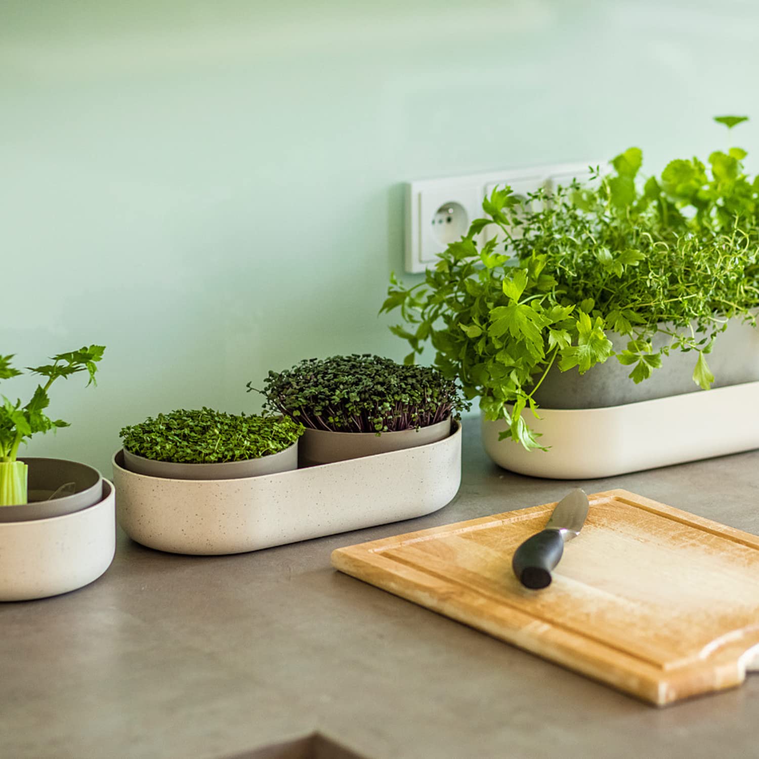 Urbalive 2-in-1 große Keimschale Set - 2X Kresse Anzuchtschale für Sprossen, Kressesamen, Microgreens - Design Kressesieb aus hochwertigem Kunststoff - Keimsprossenbox Keimgerät mit Regrow Option
