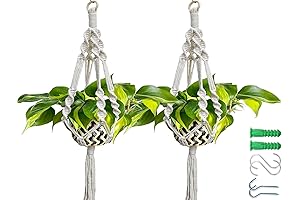 Pride 41 Inch Indoor Macrame Plant Hanger