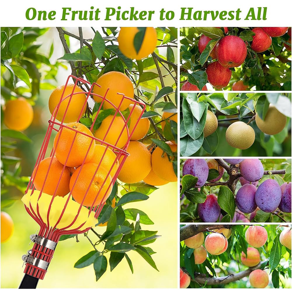 Outil De Cueillette De Fruits, Cueilleur De Fruits De 13.8 Pieds Avec Poteau Telescopique Et Panier En Alu Um Leger Attrape Fruits Facile A Assembler Utilisez Le Cueilleur Darbre A Fruit 91674442