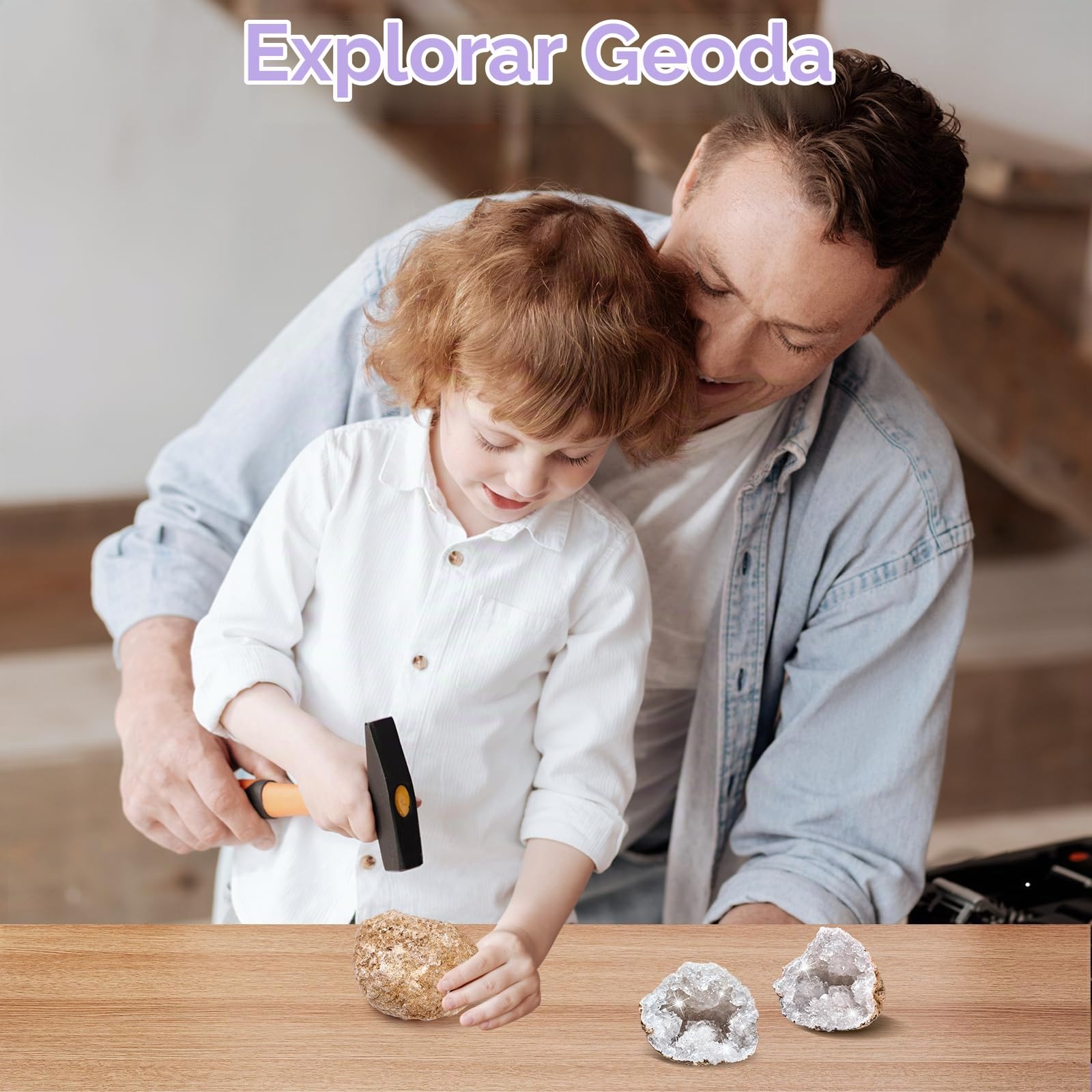 Kit de Excavación de Gemas y Minerales, Piedras y Cristales Naturales, Excava 12 Fósiles Prehistóricos Genuinos, Geoda, Regalo para Niños y Niñas 3-12 Años