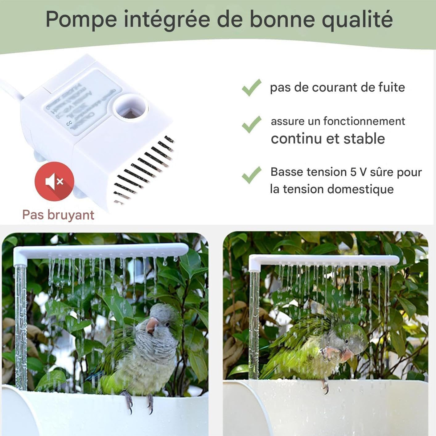 Badewanne für Papageien, automatische Vogeltränke mit Zirkulationspumpe