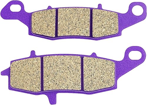 SCITOO Pastillas de freno aptas para Honda RVT 1000 R CCBR 900 RR Fireblade 2000-2006, CBR 929 RR (modelo de 929 cc) 2000 2001, CBR 954 RR (modelo