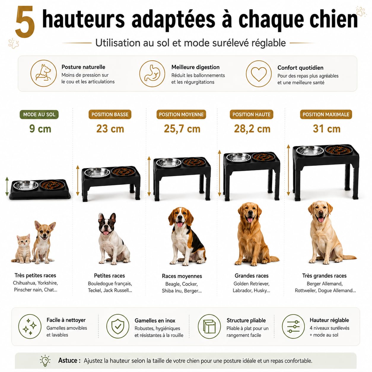 Gamelle Surélevée pour Chien Réglable – 5 Hauteurs Ergonomiques – Améliore Posture & Digestion – 2 Bols INOX 1200ml + Anti-Glouton 800ml – Tapis Antidérapant – Chiens Petits, Moyens, Grands