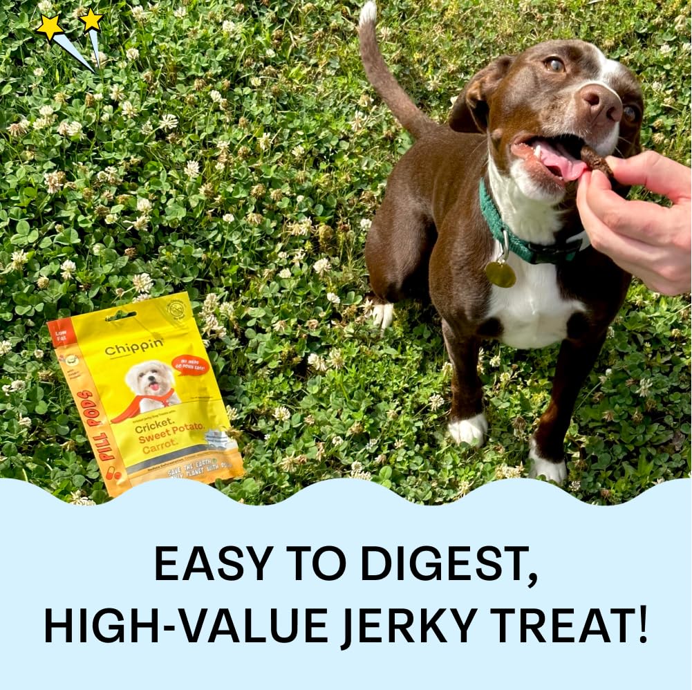 Chippin Pill Pockets For Dogs With Allergies Chippinsoft Dog Treat