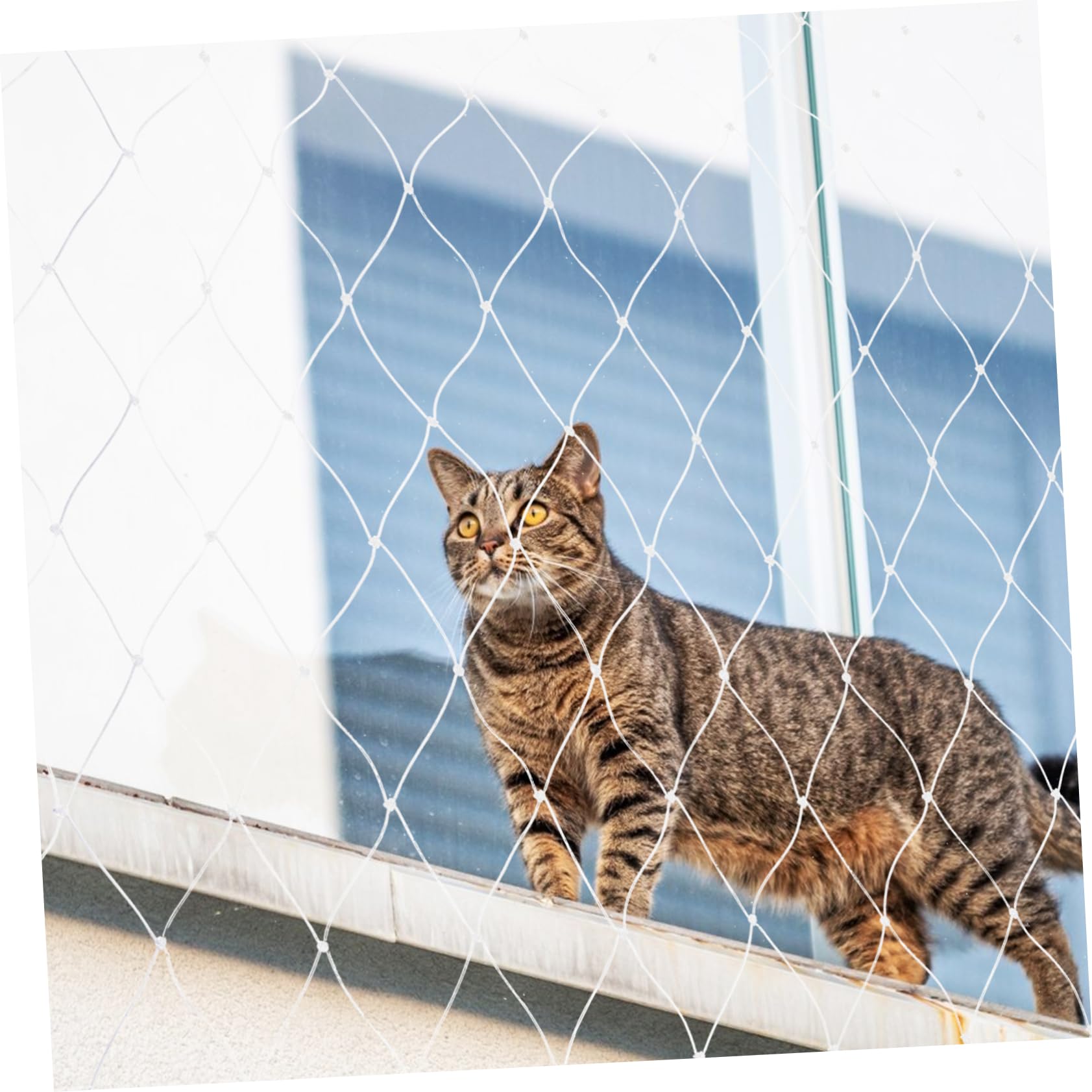 FRCOLOR Schutznetz Katze für Balkon und Fenster Nylon Weiß Reißfest und Kratzfest zur Absturzsicherung für Haustiere