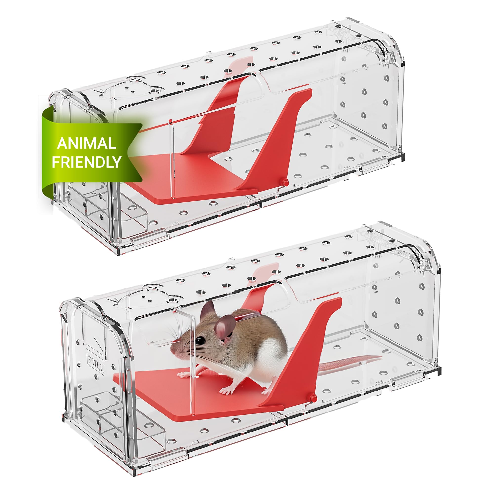 ROSHIELD 2 X Humane MOUSE Traps for Indoors and Outdoors, Duty Pest Trap for Catch Alive. Pets and Children Friendly. Reusable Rodent Mice Trap. Quick, Effective and Highly Sensitive Catcher