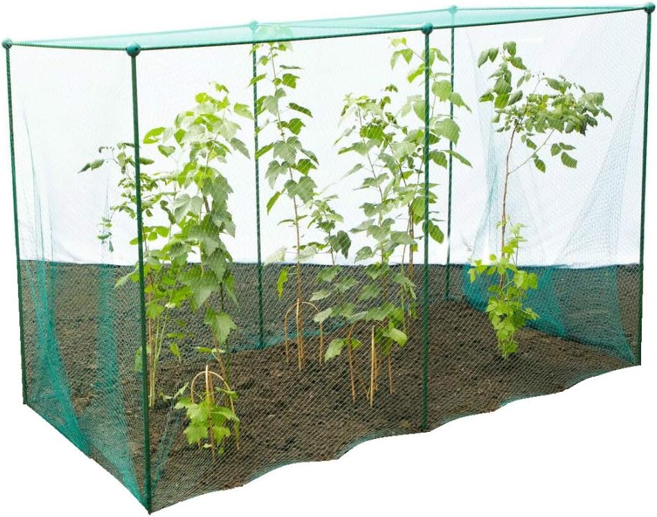 GardenSkill Fruit and Vegetable Garden Cage Kit with Butterfly Netting