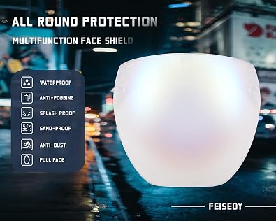 FEISEDY Full Cover Face Visor Protective Glasses Mirror Shield Sunglasses Anti Fog B2781