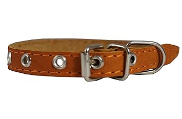 Real Leather Dog Collar 9.5